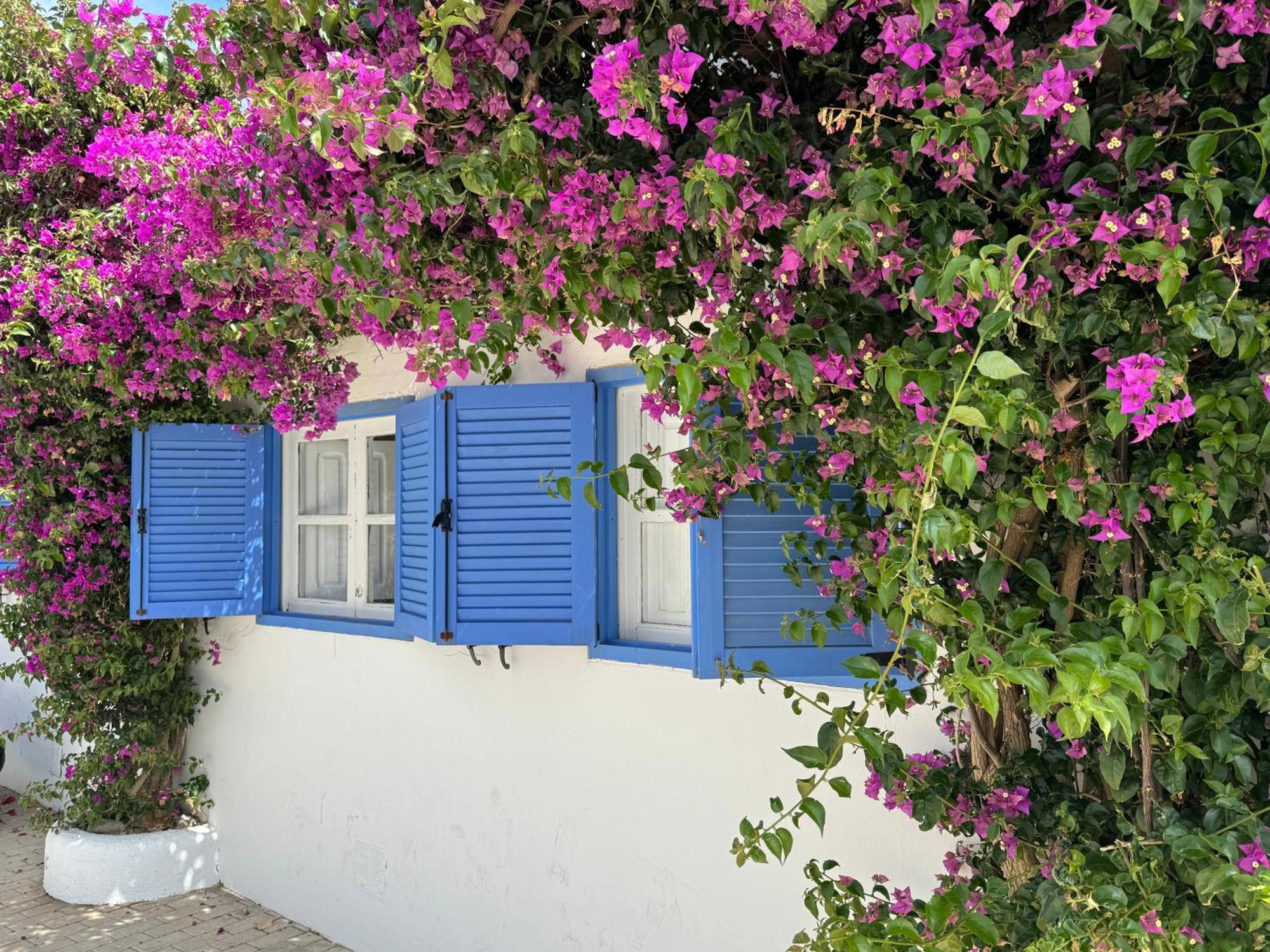 Casa Mellis Aguamarga Διαμέρισμα Agua Amarga  Εξωτερικό φωτογραφία