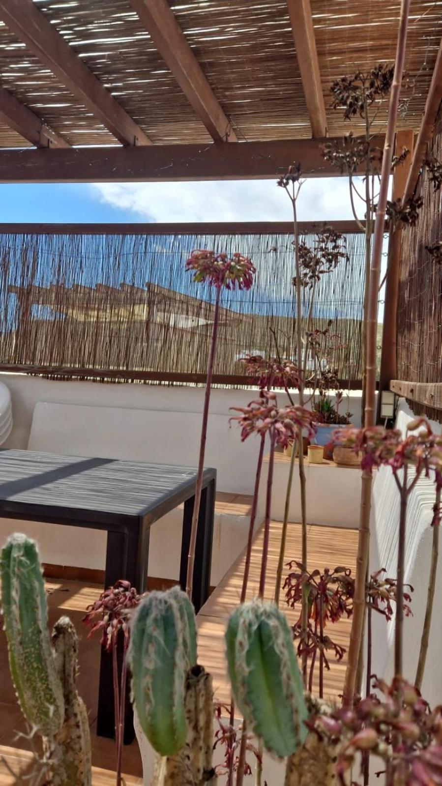 Casa Mellis Aguamarga Διαμέρισμα Agua Amarga  Εξωτερικό φωτογραφία